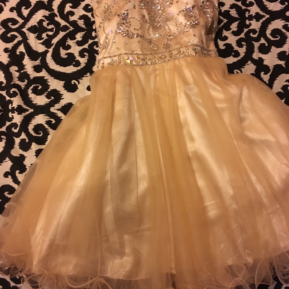 Prom Dress - Picture 4 of 5